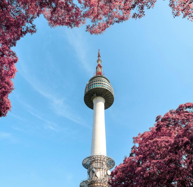 pexels-apasaric-2848492